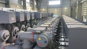 WhatsApp Image 2025-01-27 at 09.05.21 (3)